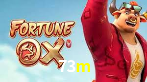 73m,73m.com