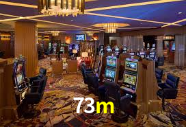 Premium Interface 73m
